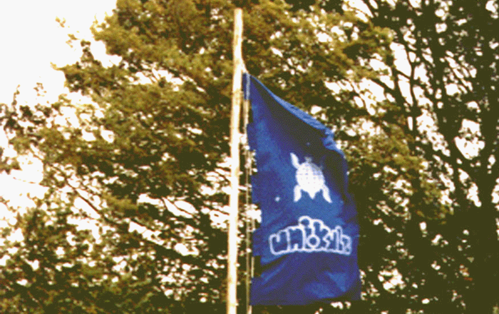 ukflag700px.gif