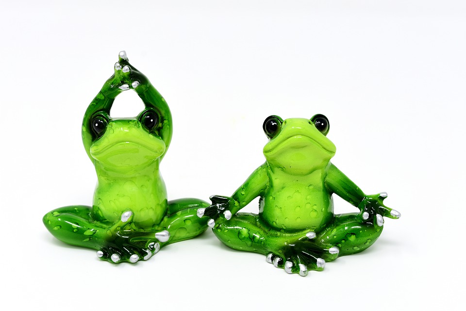 frogs-3095285960720.jpg